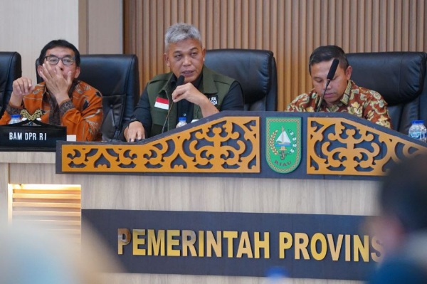 Program Replanting Kebun Sawit Rakyat di Riau Tahun Ini Ditargetkan 10 Ribu Hektare Lebih