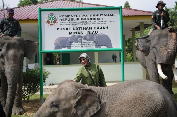 Istri Gubernur Riau bersama Ketua TP PKK Pusat Suarakan Konservasi Gajah Sumatera di Minas