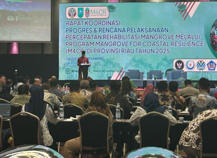 Rehabilitasi Mangrove di Inhil Berhasil, Cakupan M4CR di Riau akan Diperluas ke Lima Kabupaten