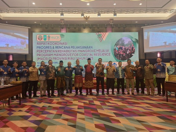 Riau Komitmen Jaga Pesisir dengan Rehabilitasi Mangrove