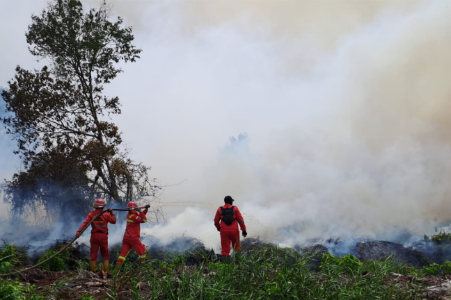 Manggala Agni Perkuat Barisan: Perjuangan Pemadaman Karhutla Riau Masih Berlanjut