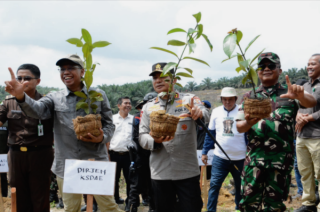 Tindak Tegas Perambah: 301 Hektare Lahan Ilegal di Tesso Nilo Dikembalikan Fungsinya