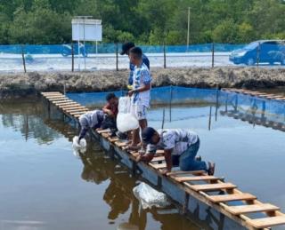 8.500 Benih Ikan Nila dan Patin Ditebar di Tambak TNI AL Dorak