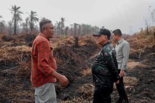 Pasca Hujan, Bupati Rohil Tinjau Lokasi Karhutla di Kecamatan Kubu