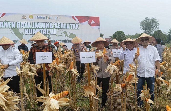 Kapolda Riau Pimpin Panen Raya Serentak Jagung Pipil di BBI Hortikultura Pekanbaru