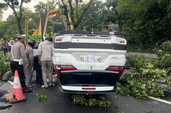 Xpander Tabrak Brio dan Dua Pohon di Simpang Parit Indah Pekanbaru
