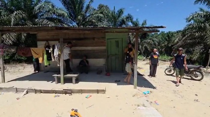 BBKSDA Riau Ungkap Lokasi Keluarga Diserang Gajah: Masuk Jalur Jelajah Satwa Liar