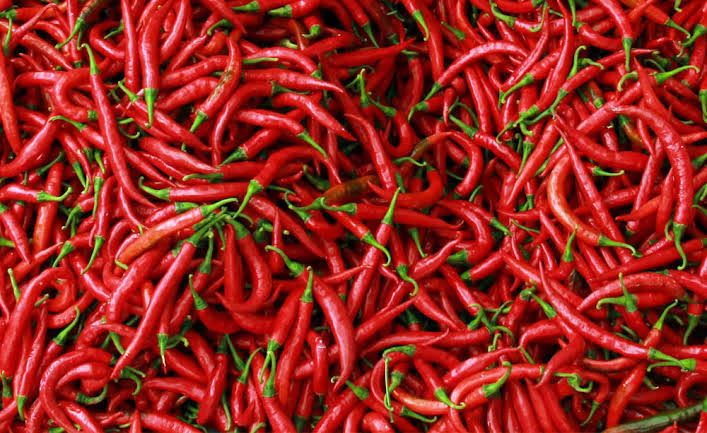 Stok Tersedia, Harga Cabai Merah di Pekanbaru Mulai Turun