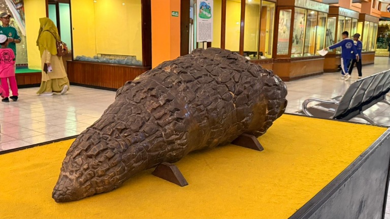 Kekayaan Geologi Riau: Museum Sang Nila Utama Pamerkan Mineral dan Fosil Langka