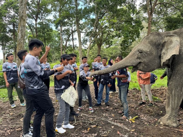 Dona, Gajah Lahiran Buluh Cina Jadi Sorotan dalam Kunjungan Green Policing Runners