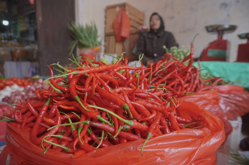 Harga Cabai Merah di Pekanbaru Masih Stabil Jelang Pergantian Tahun