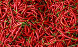 Stok Tersedia, Harga Cabai Merah di Pekanbaru Mulai Turun