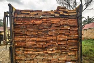 2 Pengangkut Kayu Illegal Logging di Rohul Ditangkap Ditreskrimsus Polda Riau 