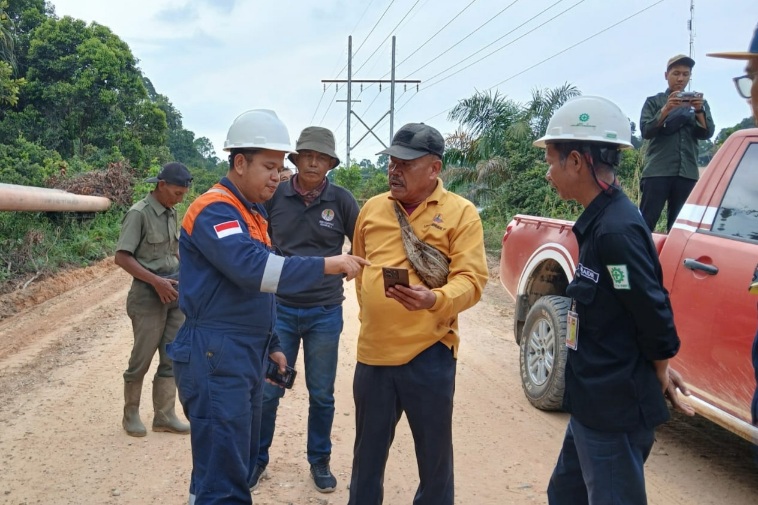 Bukan Penyusup, Harimau yang Viral di Siak Hanya Sedang Menapak Tilas di Rumah Sendiri