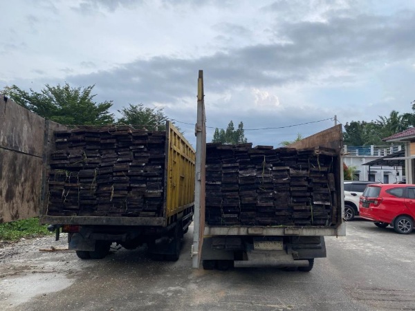 Penyergapan Dini Hari, Ditreskrimsus Polda Riau Amankan Kayu Tanpa Dokumen Sah
