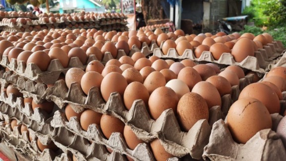Kabar Baik, Harga Minyak Turun, Telur Ayam Stabil