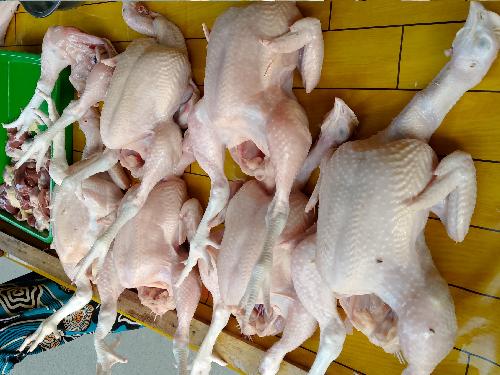 Pasokan dari Peternak di Pekanbaru Aman, Harga Ayam Masih Rp35 Ribu