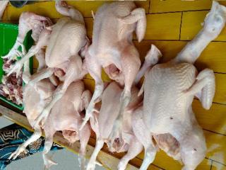 Pasokan dari Peternak di Pekanbaru Aman, Harga Ayam Masih Rp35 Ribu