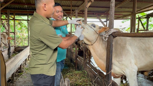 Dinas PKH Riau Salurkan 37 Ribu Lebih Obat dan Vaksin Hewan Didistribusikan ke Daerah