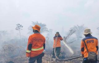 BMKG: Curah Hujan di Bawah Normal, Ancaman Karhutla Tahun Ini Diprediksi Lebih Berat