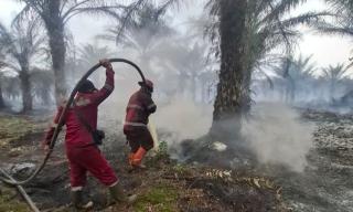 Empat Titik Karhutla di Riau Masih Ditangani, Tim Gabungan Bergerak Cepat Lakukan Pemadaman