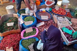 BPS Riau Sebut Komoditas Pangan Dominasi Pendorong Inflasi Saat Ramadan dan Idulfitri