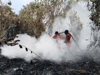 Sulit Cari Air, Pemadaman Karhutla di Rimbo Panjang Berlangsung Alot
