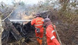 Manggala Agni Tangani Ribuan Hektare Karhutla di Riau, Sejumlah Titik Masih Membara