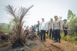 Wali Kota Dumai dan Kapolda Riau Tinjau Pemadaman Karhutla di Tanjung Palas