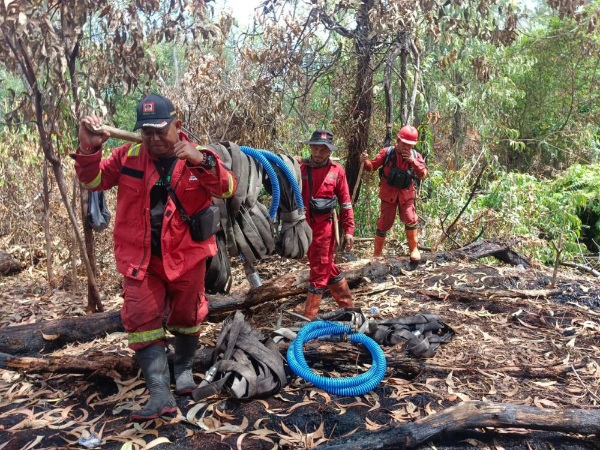 Karhutla Bengkalis Tuntas Padam, Manggala Agni Mulai Tarik Pasukan
