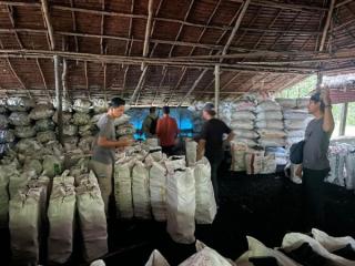 Sikat Mafia Mangrove, Polisi Amankan 100 Ton Arang Ilegal Siap Ekspor ke Malaysia