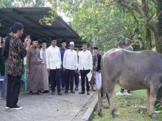Islamic Center Bangkinang Masuk Empat Besar Nasional Penyumbang Hewan Kurban Terbanyak