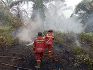Manggala Agni Fokus Lakukan Pendinginan di Rohil dan Siak