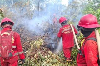 Pekanbaru Tetapkan Status Siaga Darurat Bencana Karhutla