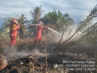 Manggala Agni Hadapi Tiga Karakteristik Karhutla Berbeda di Siak, Rohil, dan Pelalawan