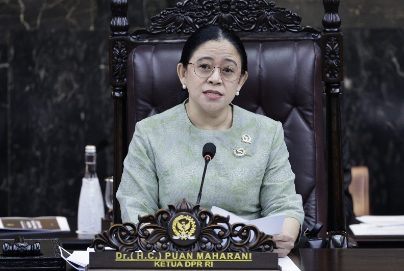Karhutla Riau: Puan Maharani Sebut Butuh Sinergi Kuat Semua Stakeholder