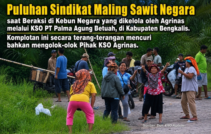 Tok! PN Bengkalis Batalkan Status Tersangka Manajer KSO Agrinas Rasiman Manurung