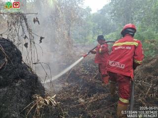 11 Daerah Tetapkan Siaga Darurat Karhutla di Riau