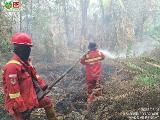 Angin Berputar dan Vegetasi Kering Hambat Manggala Agni Padamkan Karhutla di Sokoi