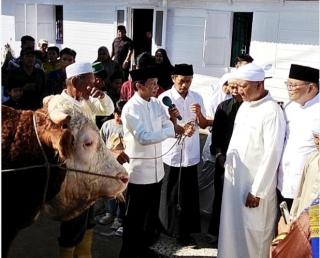 Pemkab Rohil Bantah Isu 92 Sapi Kurban dari Presiden, Sekda Tegaskan Hanya Dua Ekor