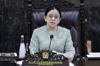 Karhutla Riau: Puan Maharani Sebut Butuh Sinergi Kuat Semua Stakeholder