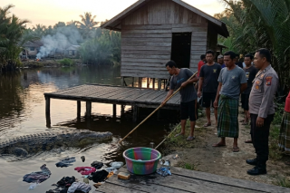 Kronologi Tragis Santi, IRT di Siak yang Diseret Predator Sungai Saat Senja