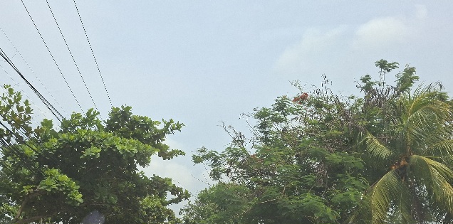 Cuaca Riau Hari Ini Relatif Kondusif, Hotspot Turun Jadi Lima Titik