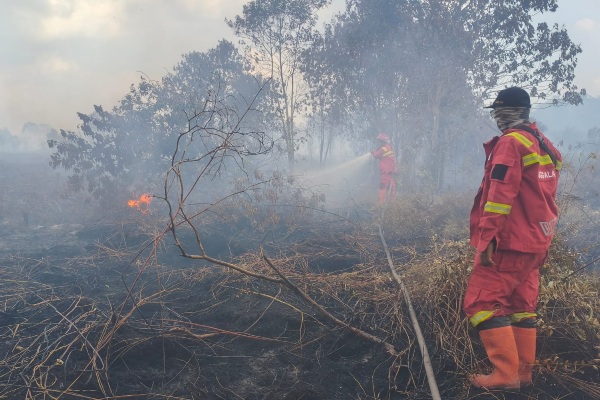 Demi Kejar Api Sejak Pagi, Tim Manggala Agni Menginap Dekat Lokasi Karhutla Pematang Pudu