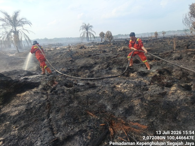 Resmi Dikeluarkan! Ini 6 Poin Penting Maklumat Forkopimda Riau Terkait Bahaya Karhutla