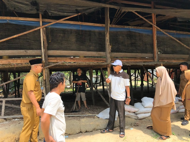 Populasi Lalat Meningkat Saat Panen, Pemilik Peternakan Janji Perbaiki Pengelolaan Kandang
