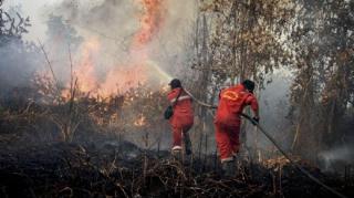 BNPB Intensifkan Penanganan Karhutla di Kalbar, Riau, dan Sumsel