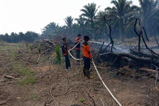 BPBD Kampar Berhasil Padamkan Karhutla di Desa Empat Balai
