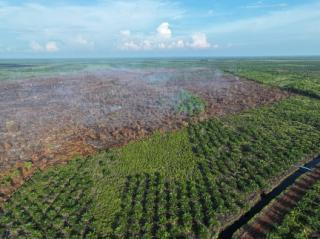 Asap Karhutla Pematang Pudu Mulai Hilang, Manggala Agni Lanjutkan Mopping Up