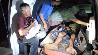 Pekerja Alat Berat di Siak Selamat Usai Diterkam Harimau Sumatera